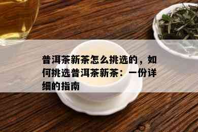 普洱茶新茶怎么挑选的，如何挑选普洱茶新茶：一份详细的指南