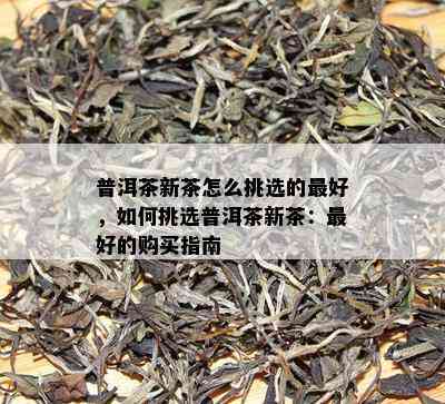 普洱茶新茶怎么挑选的更好，如何挑选普洱茶新茶：更好的购买指南