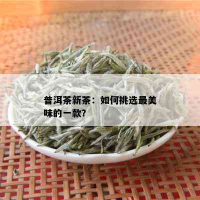 普洱茶新茶：如何挑选最美味的一款？