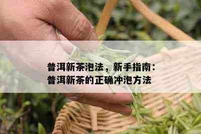 普洱新茶泡法，新手指南：普洱新茶的正确冲泡方法