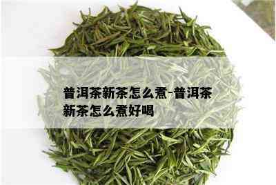 普洱茶新茶怎么煮-普洱茶新茶怎么煮好喝