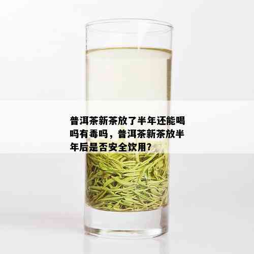 普洱茶新茶放了半年还能喝吗有吗，普洱茶新茶放半年后是否安全饮用？