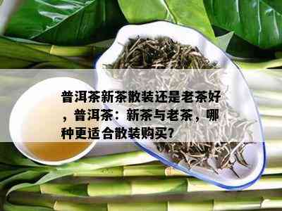 普洱茶新茶散装还是老茶好，普洱茶：新茶与老茶，哪种更适合散装购买？