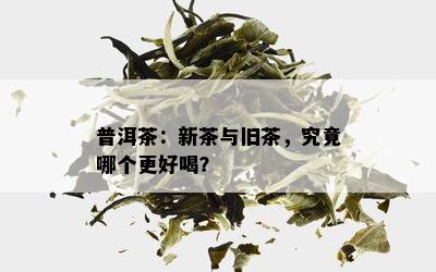 普洱茶：新茶与旧茶，究竟哪个更好喝？