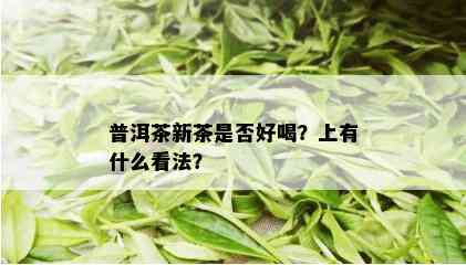 普洱茶新茶是否好喝？上有什么看法？