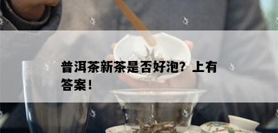 普洱茶新茶是否好泡？上有答案！