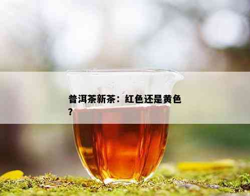 普洱茶新茶：红色还是黄色？