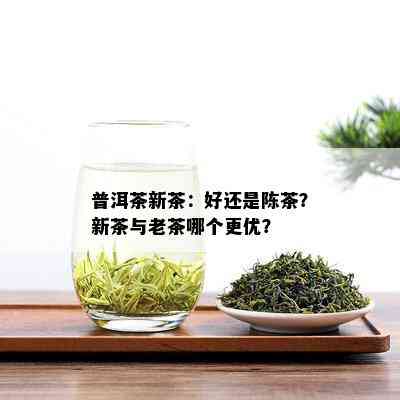 普洱茶新茶：好还是陈茶？新茶与老茶哪个更优？