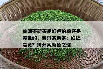 普洱茶新茶是红色的嘛还是黄色的，普洱茶新茶：红还是黄？揭开其颜色之谜