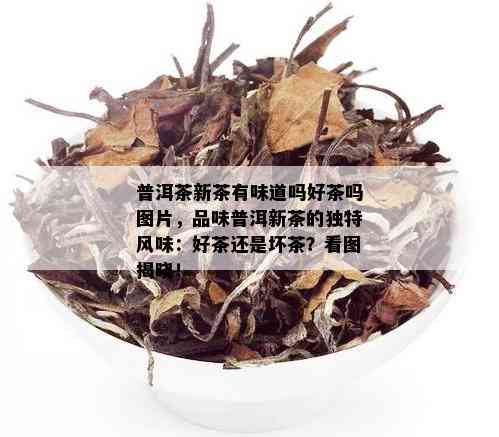 普洱茶新茶有味道吗好茶吗图片，品味普洱新茶的独特风味：好茶还是坏茶？看图揭晓！