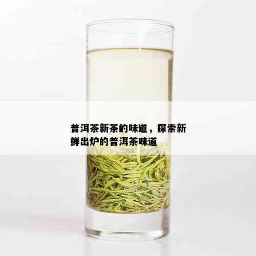 普洱茶新茶的味道，探索新鲜出炉的普洱茶味道