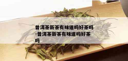 普洱茶新茶有味道吗好茶吗-普洱茶新茶有味道吗好茶吗