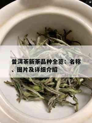 普洱茶新茶品种全览：名称、图片及详细介绍