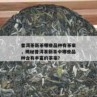 普洱茶新茶哪些品种有茶豪，揭秘普洱茶新茶中哪些品种含有丰富的茶毫？