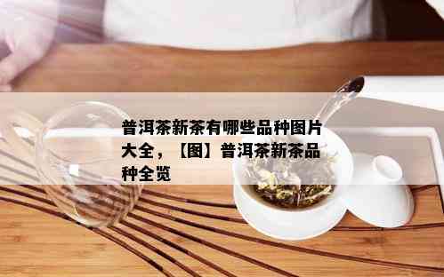 普洱茶新茶有哪些品种图片大全，【图】普洱茶新茶品种全览