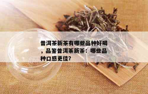 普洱茶新茶有哪些品种好喝，品鉴普洱茶新茶：哪些品种口感更佳？