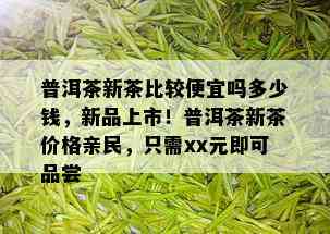 普洱茶新茶比较便宜吗多少钱，新品上市！普洱茶新茶价格亲民，只需xx元即可品尝