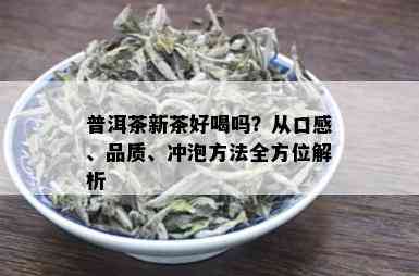 普洱茶新茶好喝吗？从口感、品质、冲泡方法全方位解析