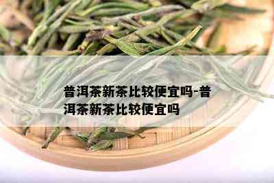 普洱茶新茶比较便宜吗-普洱茶新茶比较便宜吗