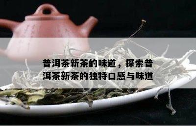 普洱茶新茶的味道，探索普洱茶新茶的独特口感与味道