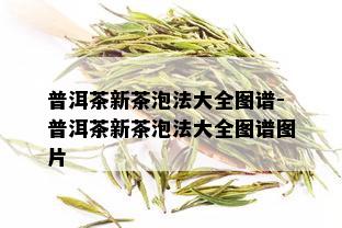 普洱茶新茶泡法大全图谱-普洱茶新茶泡法大全图谱图片