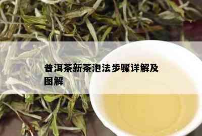 普洱茶新茶泡法步骤详解及图解