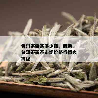 普洱茶新茶多少钱，最新！普洱茶新茶市场价格行情大揭秘