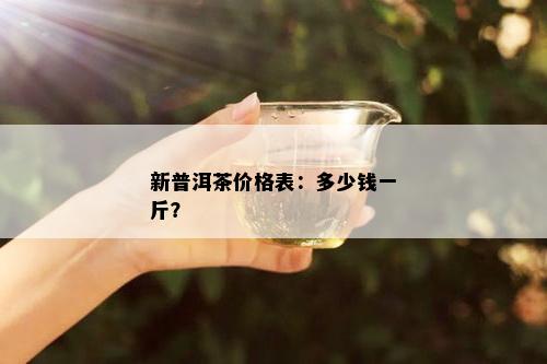 新普洱茶价格表：多少钱一斤？