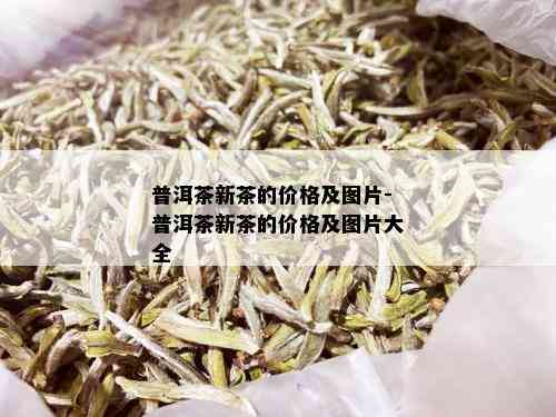 普洱茶新茶的价格及图片-普洱茶新茶的价格及图片大全