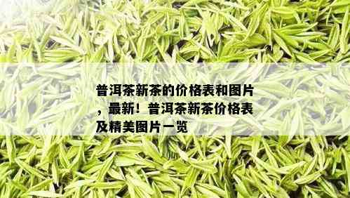 普洱茶新茶的价格表和图片，最新！普洱茶新茶价格表及精美图片一览