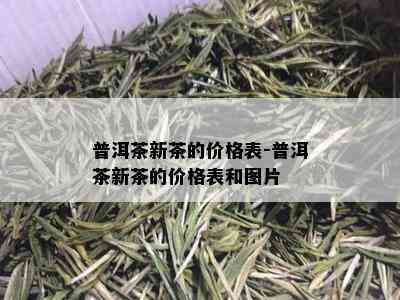 普洱茶新茶的价格表-普洱茶新茶的价格表和图片