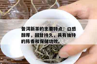 普洱新茶的主要特点：口感醇厚，回甘持久，具有独特的陈香和保健功效。