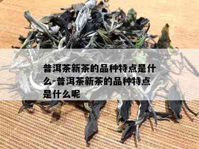 普洱茶新茶的品种特点是什么-普洱茶新茶的品种特点是什么呢