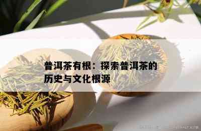 普洱茶有根：探索普洱茶的历史与文化根源