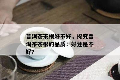 普洱茶茶根好不好，探究普洱茶茶根的品质：好还是不好？