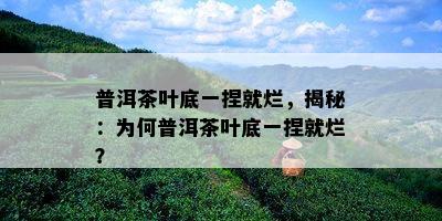 普洱茶叶底一捏就烂，揭秘：为何普洱茶叶底一捏就烂？