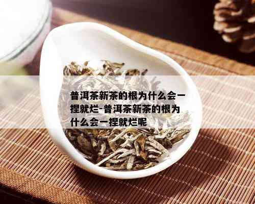 普洱茶新茶的根为什么会一捏就烂-普洱茶新茶的根为什么会一捏就烂呢