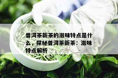 普洱茶新茶的滋味特点是什么，探秘普洱茶新茶：滋味特点解析