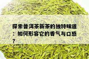 探索普洱茶新茶的独特味道：如何形容它的香气与口感?