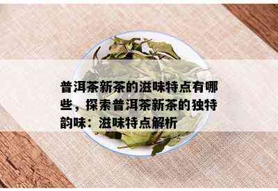 普洱茶新茶的滋味特点有哪些，探索普洱茶新茶的独特韵味：滋味特点解析