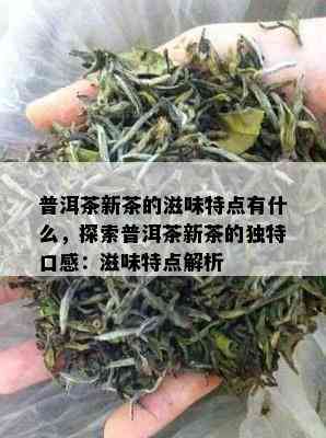 普洱茶新茶的滋味特点有什么，探索普洱茶新茶的独特口感：滋味特点解析