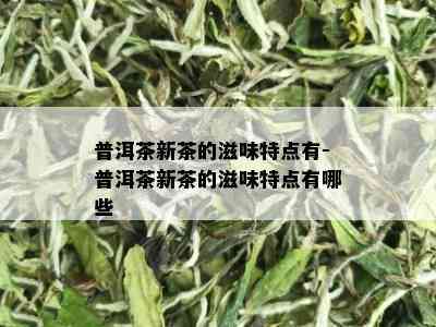 普洱茶新茶的滋味特点有-普洱茶新茶的滋味特点有哪些