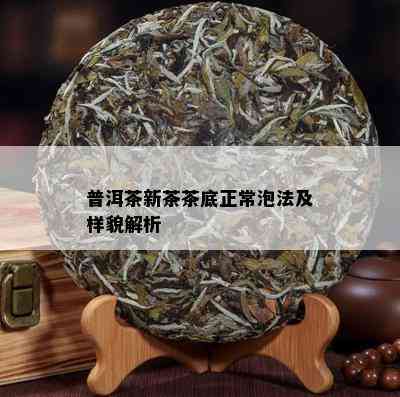 普洱茶新茶茶底正常泡法及样貌解析