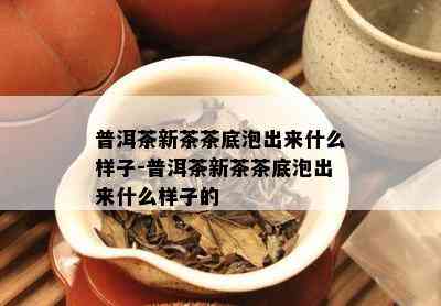 普洱茶新茶茶底泡出来什么样子-普洱茶新茶茶底泡出来什么样子的