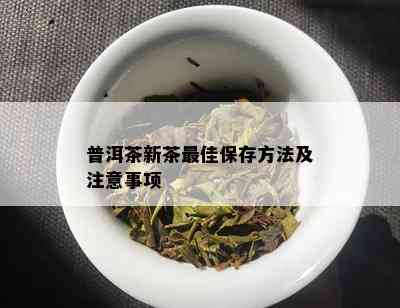 普洱茶新茶更佳保存方法及注意事项