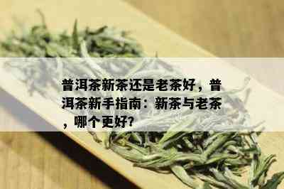 普洱茶新茶还是老茶好，普洱茶新手指南：新茶与老茶，哪个更好？