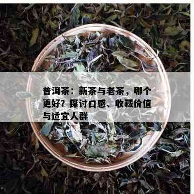 普洱茶：新茶与老茶，哪个更好？探讨口感、收藏价值与适宜人群