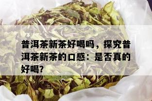 普洱茶新茶好喝吗，探究普洱茶新茶的口感：是否真的好喝？