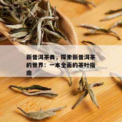 新普洱茶典，探索新普洱茶的世界：一本全面的茶叶指南