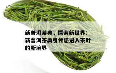 新普洱茶典，探索新世界：新普洱茶典引领您进入茶叶的新境界